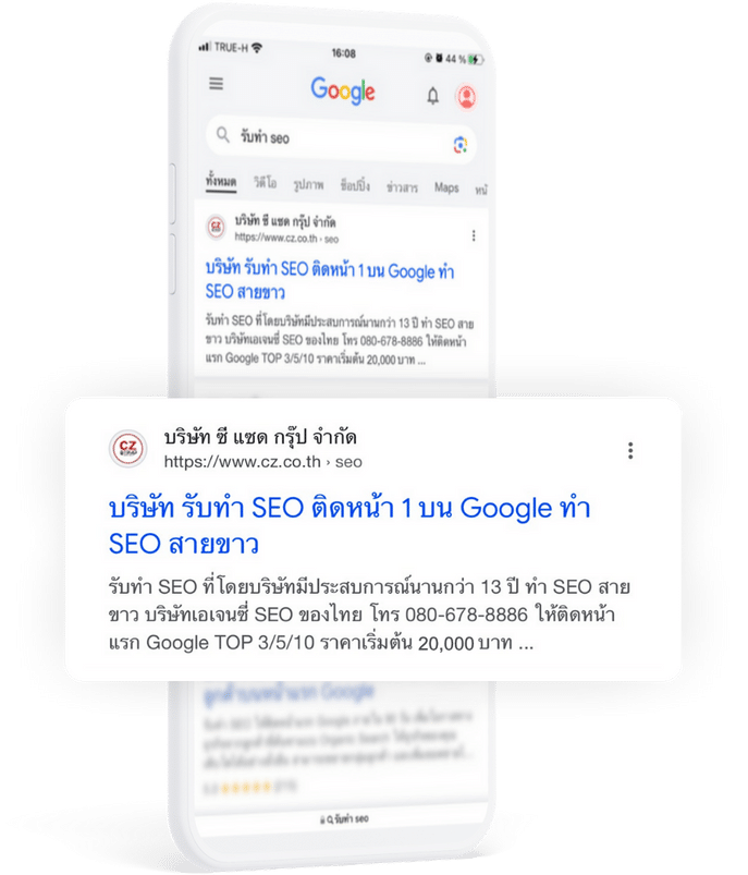 Cz- SEO  google